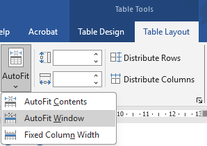 Autofit window